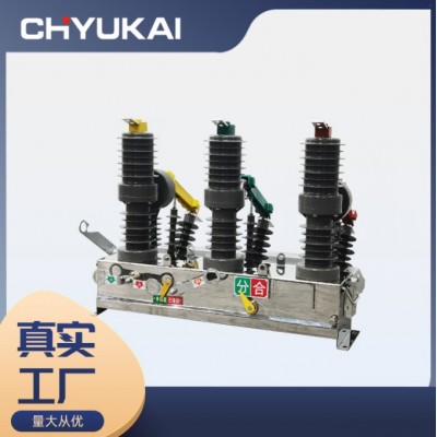 ZW32-12 FG630A带隔离高压真空断路器 10KV智能看门狗户外柱上开关图2
