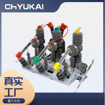 ZW32-12 FG630A带隔离高压真空断路器 10KV智能看门狗户外柱上开关图4