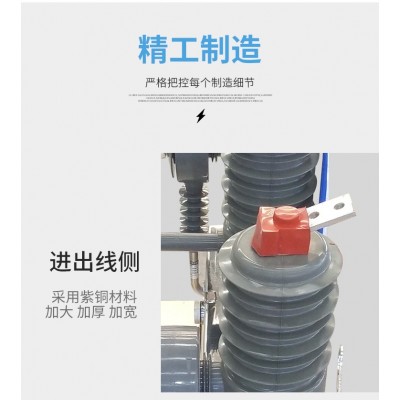 西电 户外高压真空断路器 智能 带看门狗功能 W32-12F图4
