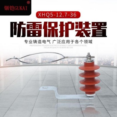 金锢10KV防雷保护装置 XHQ5-12.7-36过电保护器 串联间隙避雷器图5