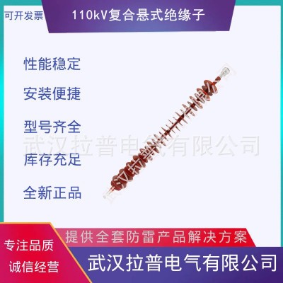 拉普110kV复合悬式绝缘子