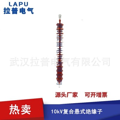 拉普110kV复合悬式绝缘子图4