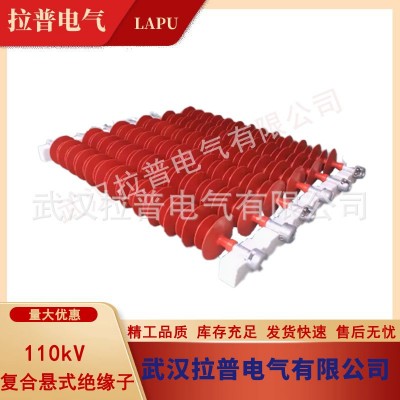 拉普110kV复合悬式绝缘子图2