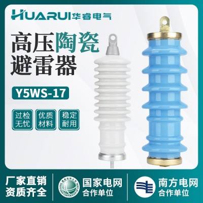 10kv陶瓷金属氧化锌避雷器 Y5WS-17/50FT高压高压蓝色 白色广东型