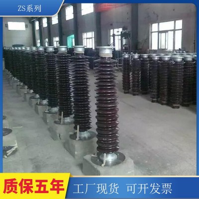 现货ZSW型高压支柱瓷绝缘子交流悬式复合绝缘子户外电力 器材批发