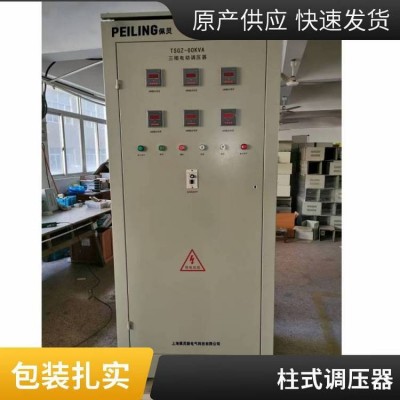 大功率电力调压器TSGZ-50KVA三相输出0-450V可调图2