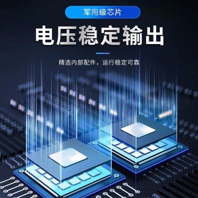 新能源 DVR系列直流负荷48V/24V 10A电源稳压器图3