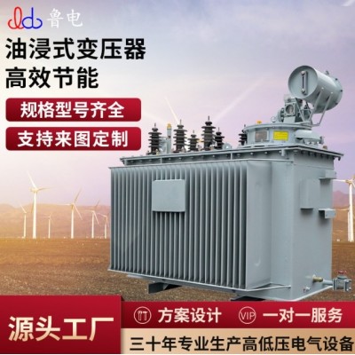 鲁电 S20铜芯油浸式变压器 500KVA 专业定制 厂家直发图3