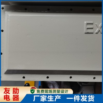 钢制仪表保护箱 防爆接线盒 配电箱 加工定制 防腐耐热 鑫友助图2
