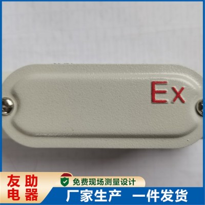 不锈钢仪表保护箱 防爆仪表电气箱 结构稳定 防摔抗压 鑫友助