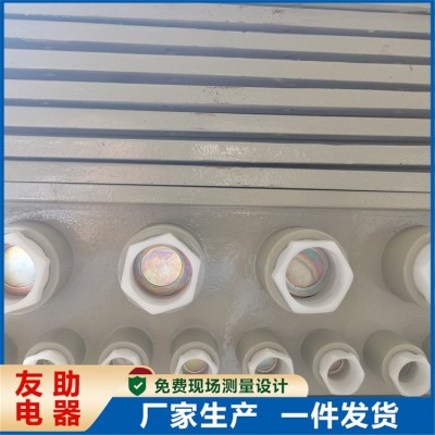 不锈钢仪表保护箱 防爆仪表电气箱 结构稳定 防摔抗压 鑫友助图2
