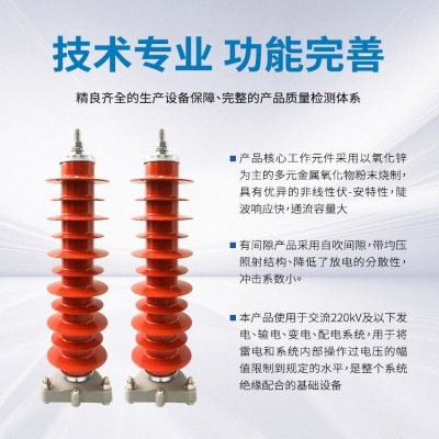 YH5WZ-35KV 氧化锌避雷器 电站型 复合硅胶金属氧化物 一体式装置图4