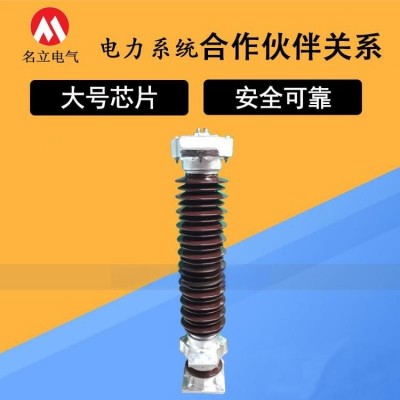 名立 Y10W-108/281户外110KV高压瓷外套金属氧化锌避雷器102/266W