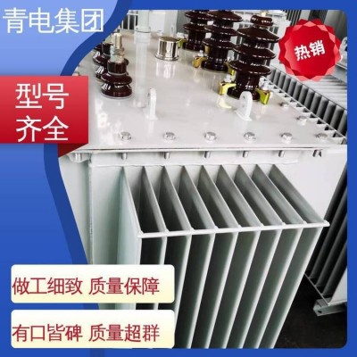 青电变压器厂 S13-M-400 500 630KVA油浸式变压器S20、S2 2系列图5