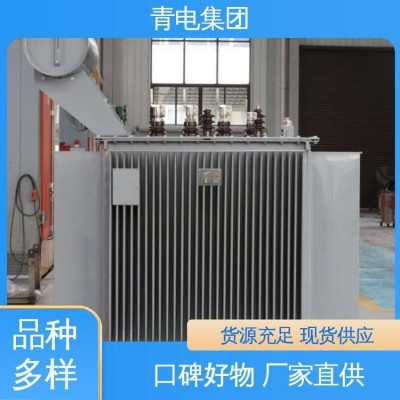 青电变压器厂 S13-M-400 500 630KVA油浸式变压器S20、S2 2系列图3