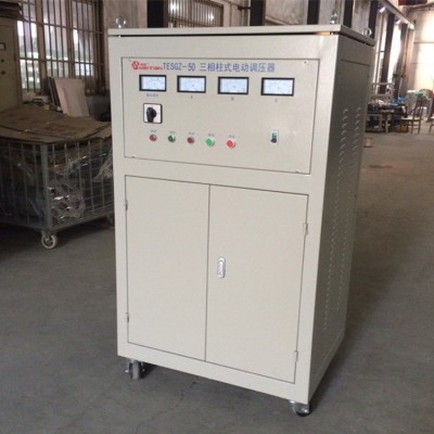 厂家直销现货供应TESGZ-200KVA三相大功率柱式电动调压器稳压图5