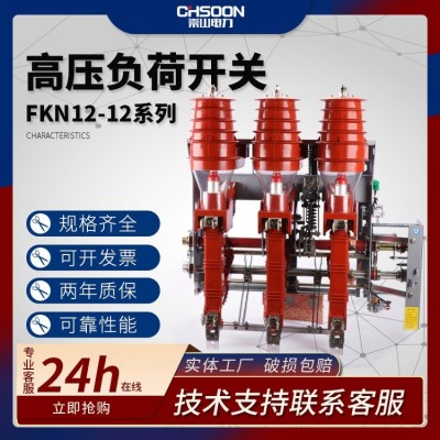 崇山 10kv高压负荷开关 压气式环网环柜接地带熔座 FKN12-12RD/T125