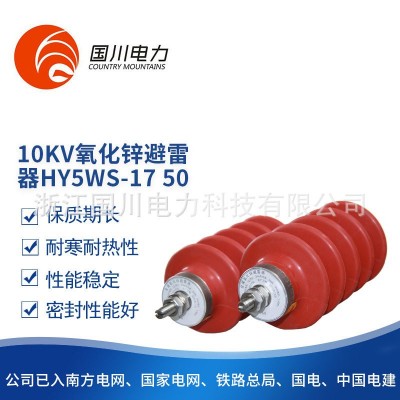 氧化锌避雷器10KV硅橡胶户外绝缘HY5WS-17/50电站型高压避雷器图4