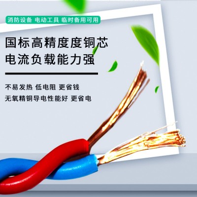 双绞线厂家zc-rvs2*1.5阻燃花线 纯铜阻燃耐火电线麻花线 无氧铜图3