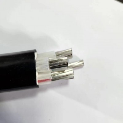 聚氯乙烯绝缘无护套电线电缆 BV 1.5 家装电线 普通绝缘电线图2