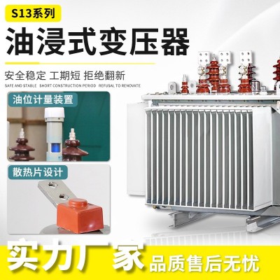 S11油浸式电力变压器柱上250/630/1250kva户外10kv高压变压器厂家图2