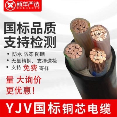 金龙羽电线电缆 电缆硬线 南方珠江南洋电缆 低烟无卤电缆线图3