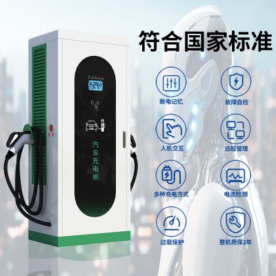 耀莱充 30KW立柜式直流单枪 电动汽车快充直流充电桩厂家图3