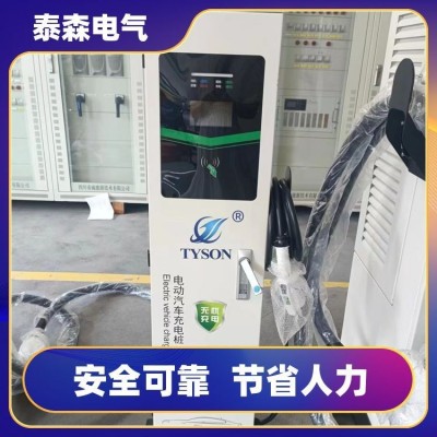交流充电桩双枪一体式快速充电 桩支持扫码支付 泰森抗冲击性好图2