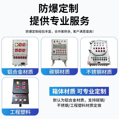 定制防爆配电箱不锈钢控制柜动力照明开关插座检修接线仪表成套箱图4