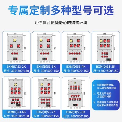定制防爆配电箱不锈钢控制柜动力照明开关插座检修接线仪表成套箱图5