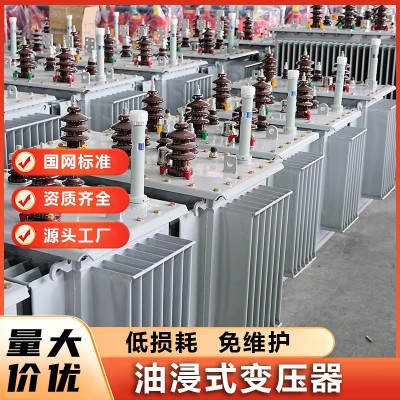 大容量三相油浸式电力变压器 电力设备生产厂 坚固耐用 贺康电气图5