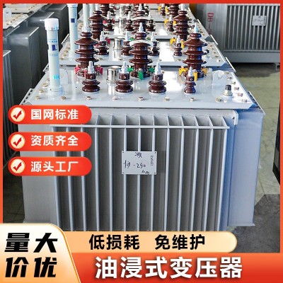 大容量三相油浸式电力变压器 电力设备生产厂 坚固耐用 贺康电气图3