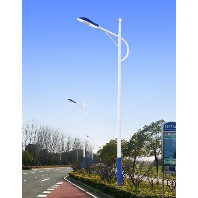 迪马新能源 小区市政道路照明l220v市电LED路灯 3-12米 支持定制