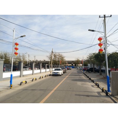 迪马新能源 小区市政道路照明l220v市电LED路灯 3-12米 支持定制图3