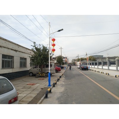 迪马新能源 小区市政道路照明l220v市电LED路灯 3-12米 支持定制图4