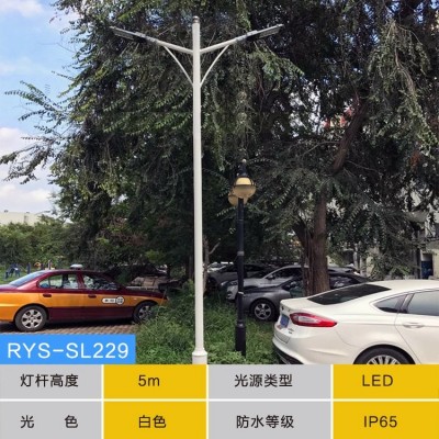 5米6米道路市电户外照明双臂双头等臂高低臂LED路灯 迪马图5