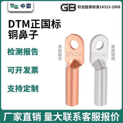 正国标DTM-185铜接线端子铜鼻子电缆接线鼻线耳大功率压线鼻图2
