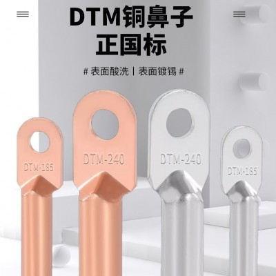 正国标DTM-185铜接线端子铜鼻子电缆接线鼻线耳大功率压线鼻