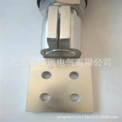 现货供应油侵式变压器配件 铜底托紫铜镀锡导电杆绝缘瓷瓶套管图2
