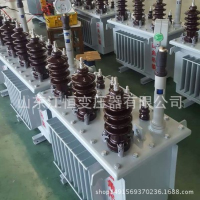 生产S11-20kva电力变压器 厂家直供 电力变压器生产厂家