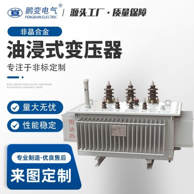 油浸式变压器S11-250(315)/10-0.4定制变压器30KVA- 10000KVA油变图2