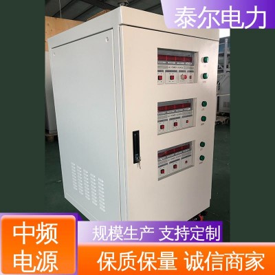 规格齐全 输出隔离稳定 航空中频电源 智能制控节能 泰尔电力