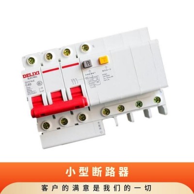 德力西空气开关电闸短路保护器1P2P家用总开63空开220v小型断路器图5
