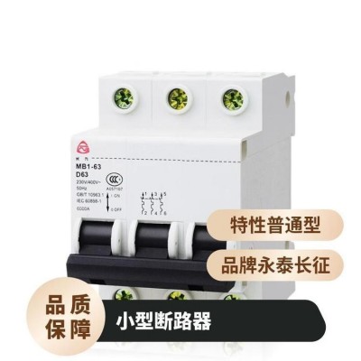 泰永长征小型断路器MB1-63C/D/1P 10A16A20A25A32A40A50A63A图5