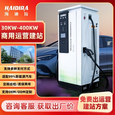 新能源汽车快充充电桩120KW商用直流国标欧标跨境240K W厂家直销图2