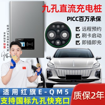 新能源汽车9孔直流随车充电枪3kw红旗EQM5熊猫mini充电桩智能快充图2