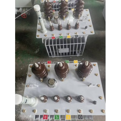 S13-M-30/10/0.4油浸式电力变压器三相节能变压器图4