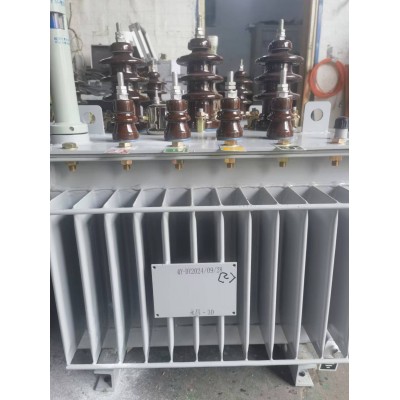 S13-M-30/10/0.4油浸式电力变压器三相节能变压器图2