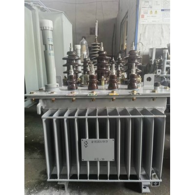 S13-M-30/10/0.4油浸式电力变压器三相节能变压器图3