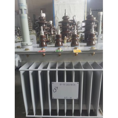 S13-M-30/10/0.4油浸式电力变压器三相节能变压器图5